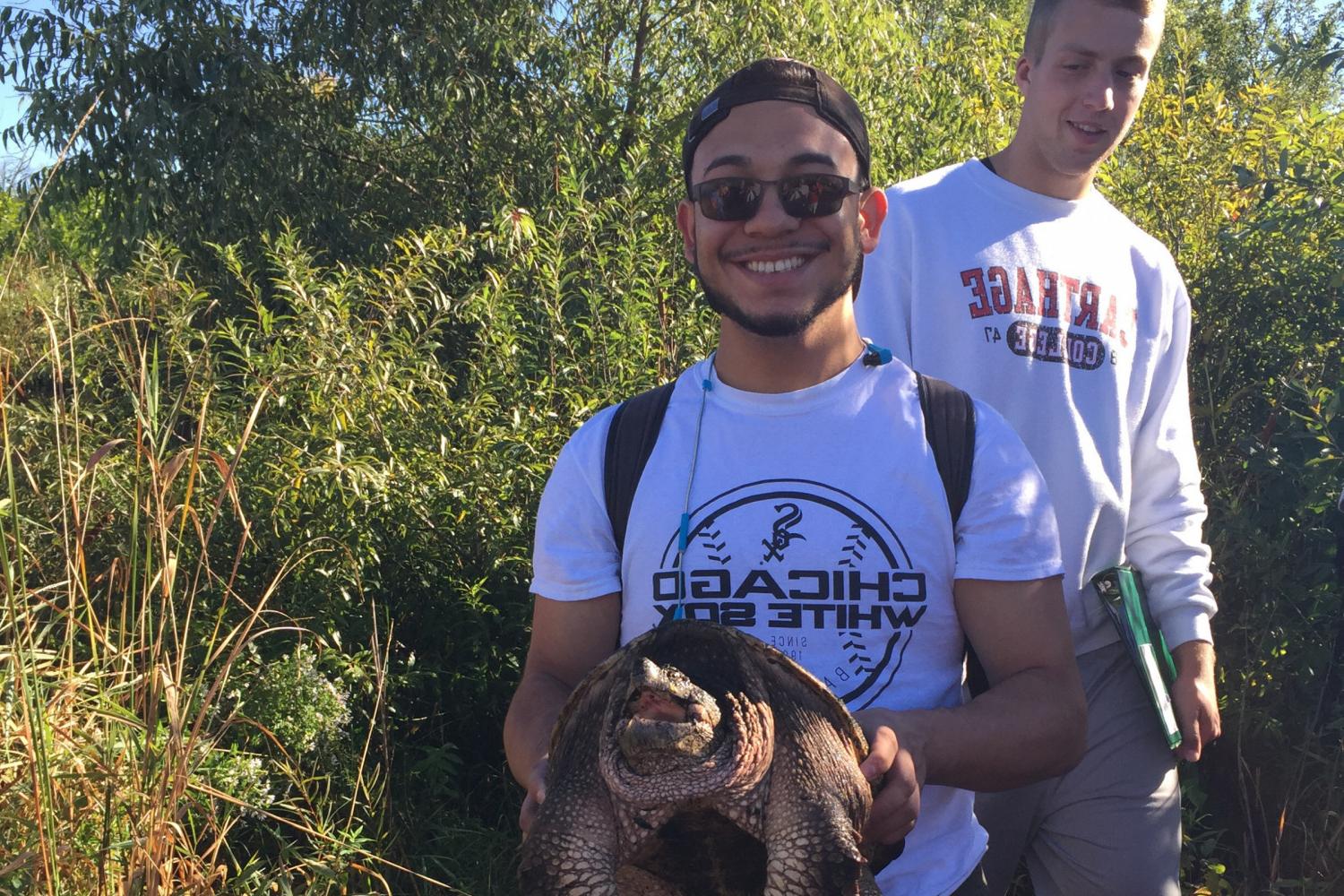 Carthage 生态 student learns how to safely h和le a common snapping turtle (Chelydra serpentina).