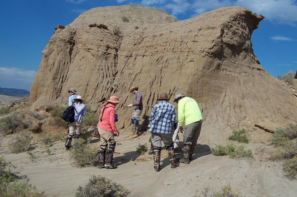 Paleontology degree students and Dr. Seitz prospecting for new fossils in the Hell Creek Formatio...