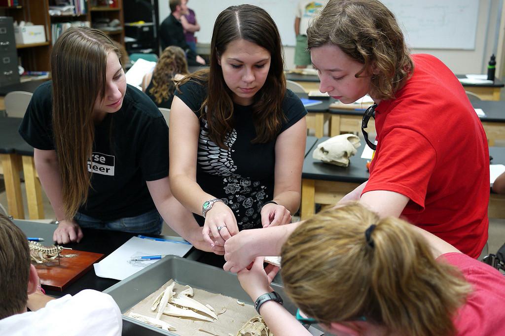 Students learning bones in the week before heading into the field.